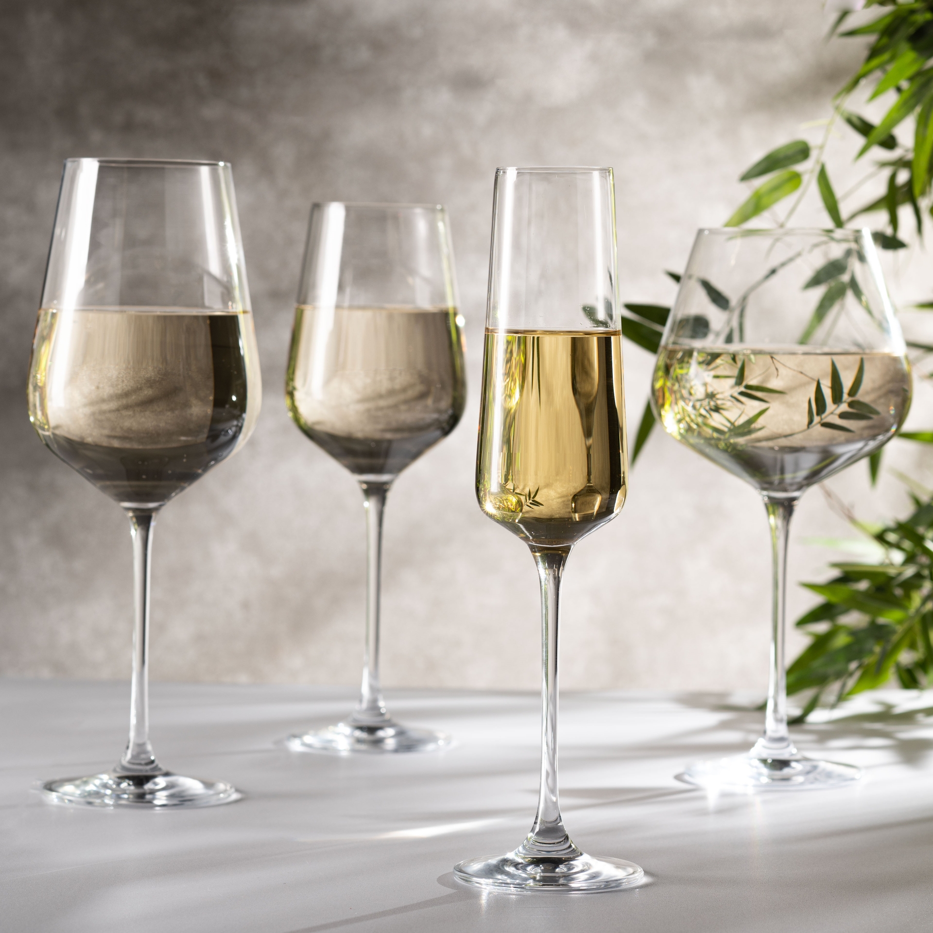 vinho